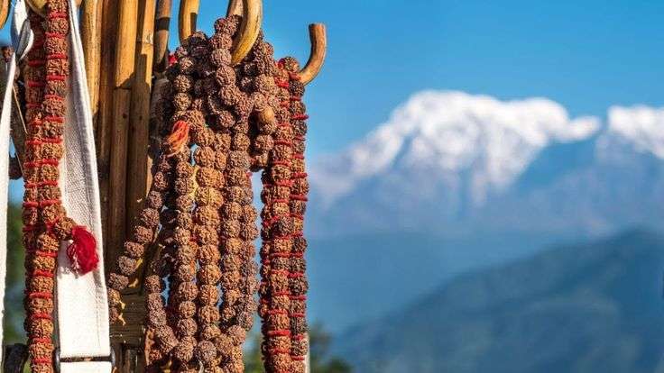 How to Identify Genuine Rudraksha - Real vs Fake Guide